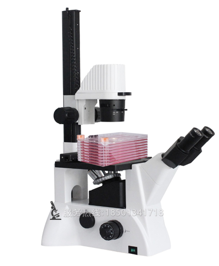 BLD-220CF 長工作距離倒置生物細胞工廠顯微鏡